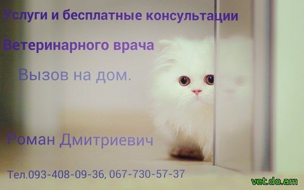 Ветеринар в Харькове 